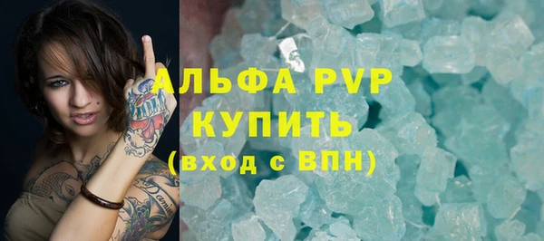 спиды Вяземский