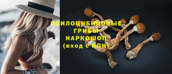 спиды Вяземский