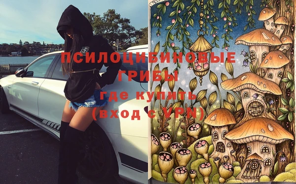 спиды Вяземский