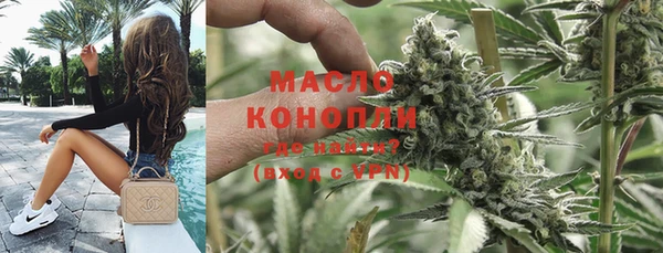 спиды Вяземский