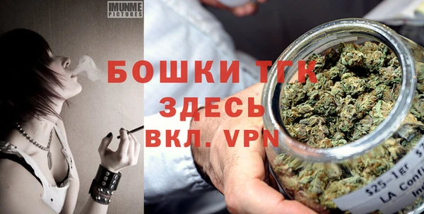 спиды Вяземский