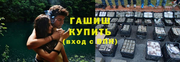 спиды Вяземский