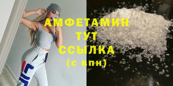 спиды Вяземский
