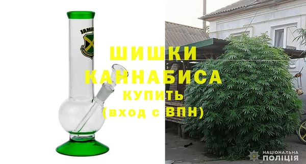 спиды Вяземский