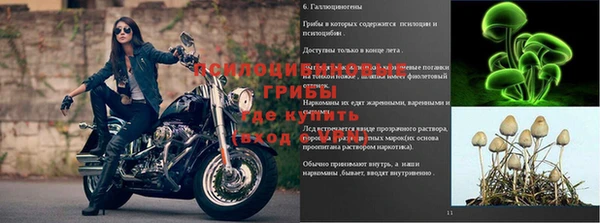спиды Вяземский