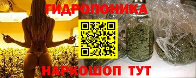 прущая мука Гусев