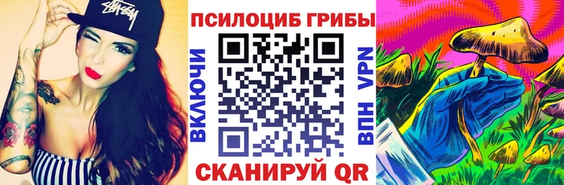 где можно купить наркотик  Мценск  Галлюциногенные грибы Psilocybine cubensis 