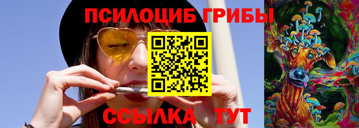 Псилоцибиновые грибы Psilocybe  Галлюциногенные грибы мицелий  Вход с VPN  Мценск 